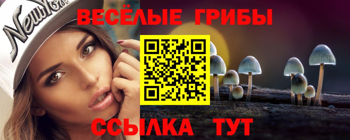 Галлюциногенные грибы Psilocybine cubensis  Галлюциногенные грибы GOLDEN TEACHER  Лосино-Петровский  Вход с VPN 